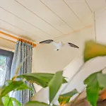 Lägenhet Neue Reihe 83a