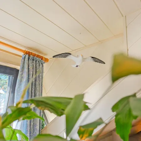 Neue Reihe 83a * Ostseebad Kühlungsborn